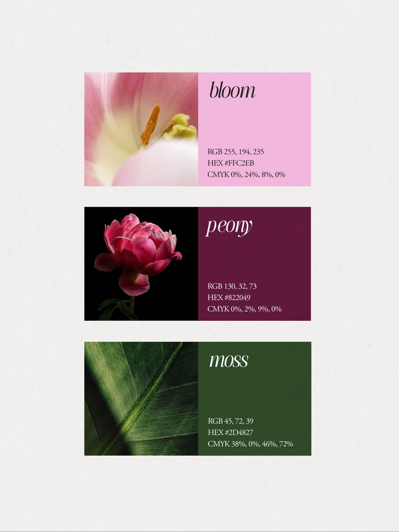 Branding & Graphic Design project 9